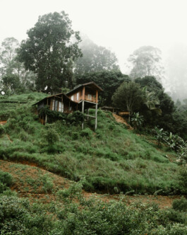 OUAT Sri Lanka pexel lena-goncharova 