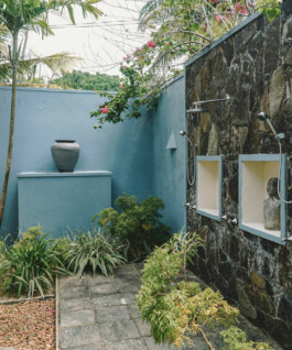 OUAT Sri Lanka pexel esrageziyor 