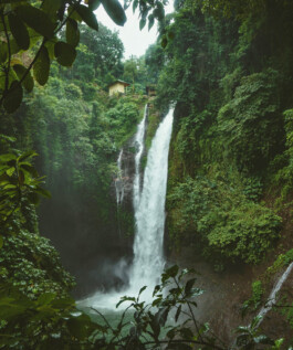 SRI LANKA OUAT pexel ollivves 