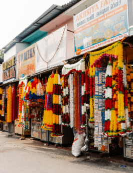 SRI LANKA OUAT Travel city