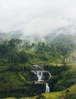 OUAT SRI LANKA PEXEL isharakasthuriarachchi