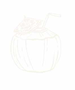 OUAT Sri Lanka Coco nut illustration 