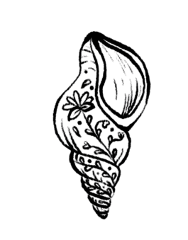 ONCE UPON A TRIP SRI LANKA illustration shellfish 