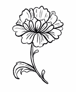 OUAT - Once Upon A Trip Sri Lanka